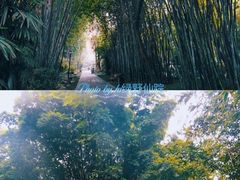 -望江楼公园