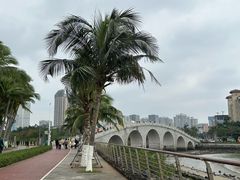 -万绿园