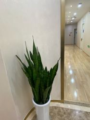 -JUVA欧华医美连锁