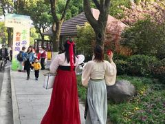 -昆山城市生态森林公园