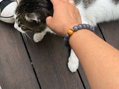 -UNI UNI(环亚凯瑟琳店)