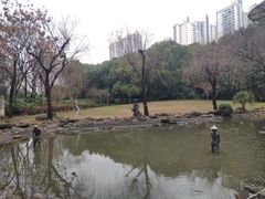 -苏州河梦清园环保主题公园