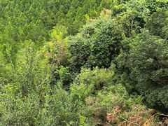-北京十三陵国家森林公园蟒山景区