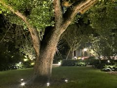 -杭州香格里拉·香宫中餐厅