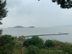 -上海市保健医疗中心