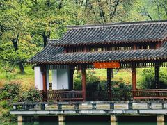 -杭州植物园