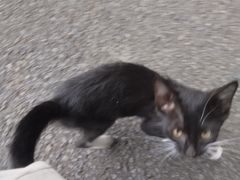 -西贝(宁波天一国购店)