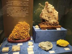 -国家自然博物馆