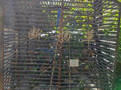 -广州神农草堂中医药博物馆