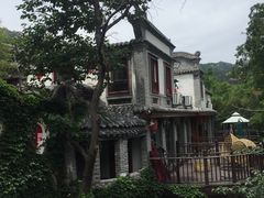 -老张烤羊(王哥庄店)