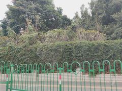 -胡里山炮台