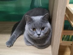 -藦茜花园宠物主题亲子互动体验馆(国顺东路店)