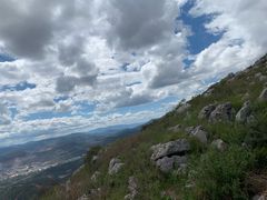 -长虫山生态公园风景林