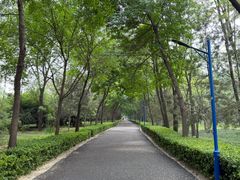-森林公园(尖草坪区)