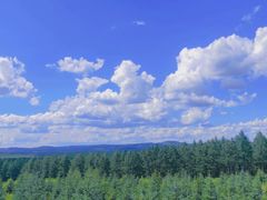 -塞罕坝国家级自然保护区