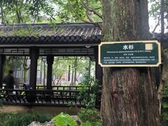 -墨池公园