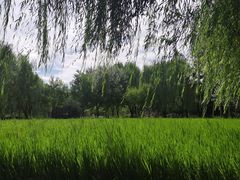 -北坞公园