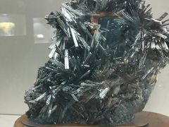 -甘肃地质博物馆