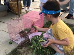 -上海滴水湖皇冠假日酒店