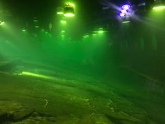 -白鹤梁水下博物馆