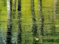 -北坞公园
