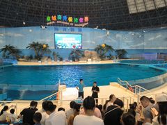 -泉城欧乐堡海洋极地世界