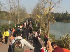 -白鹭湾湿地公园