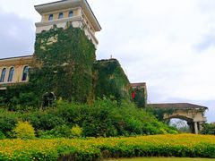 -府河摄影公园