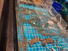 -九月海·海鲜自助(世纪东方店)