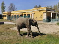 -哈尔滨北方森林动物园