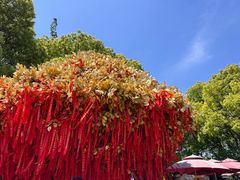 -狼山风景名胜区