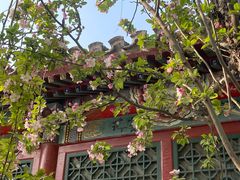 -海棠花溪(元大都城垣遗址公园)