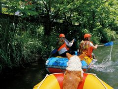 -千岛湖九龙溪漂流