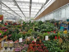 -三圣花乡旅游区