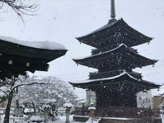 -名古屋城