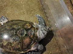 -青岛海底世界-水族馆
