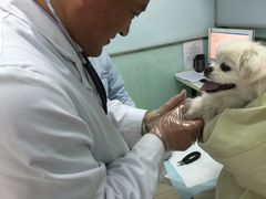 -纳吉亚猫专科动物医院博雅分院