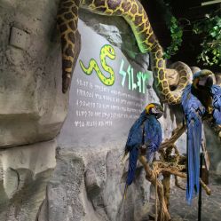 -Zoolung Zoolung动物主题公园(海信广场店)