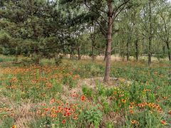 -东坝千亩湖公园