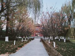 -宝鸡文理学院（石鼓校区））