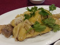 -金苑海鲜酒家(新港中路店)