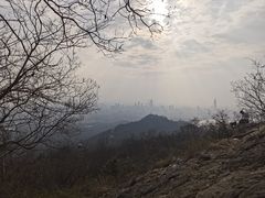-紫金山山顶公园