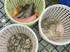 -小海豚•老字号海鲜餐厅(天涯店)