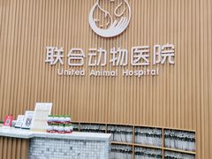 -联合动物医院(光谷诊疗中心)