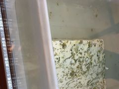 -老味道1992(武当山店)