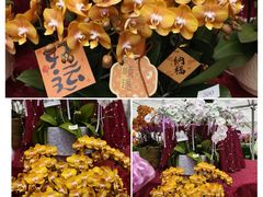 -上海鲜花港