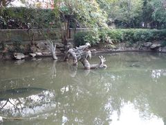 -汇龙潭