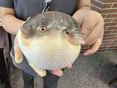 -永安鱼庄·镇江菜(东吴路店)