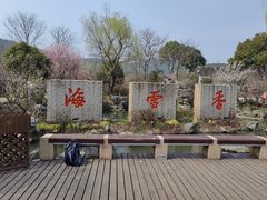 -香雪海