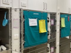-美联众合动物医院·24h转诊中心